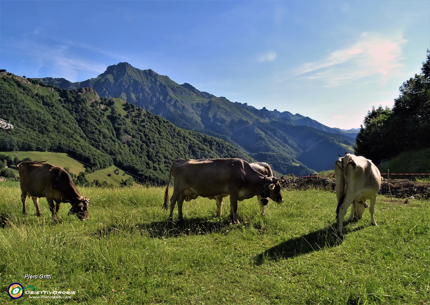 14 Mucche a colazione con vista in Tre Signori.JPG -                                